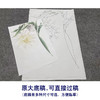 李长白工笔画白描底稿《昙花映月》临摹勾线高清打印稿YL11 商品缩略图1