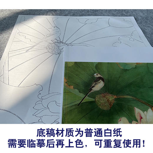 吕大卫工笔画白描底稿《荷花图》临摹勾线高清打印稿YL19 商品图3