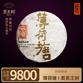 【福元昌古树】2024年一类茶王树-薄荷塘100g生饼