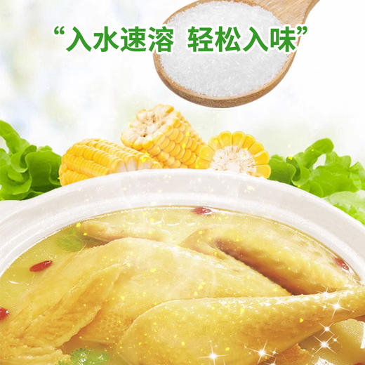 加加-味精200g/袋 商品图3