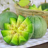 山东绿宝石甜瓜、满口清脆香甜、不去皮不去瓤、闻着香、咬着爽、一口下去十分满足！ 商品缩略图9