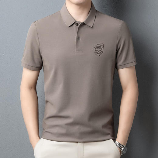 ALBB-夏新款高端男士Polo衫短袖T恤100%纯棉高品质夏季宽松翻领T恤男 商品图6