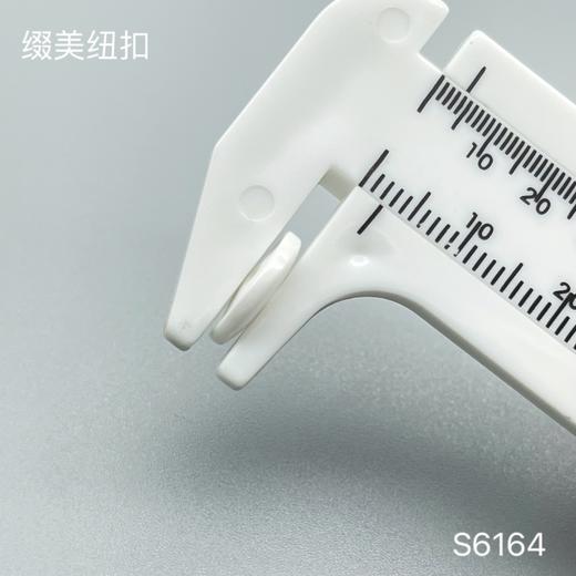 S6164(整包购买) 商品图3