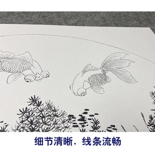 画师王后波临摹工笔画白描底稿合集多种底稿可选YL00 商品图4