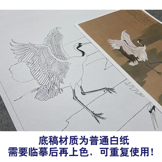张克齐工笔画白描底稿《仙鹤》临摹勾线高清打印稿A523 商品图3