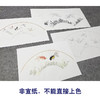 画师王后波临摹工笔画白描底稿合集多种底稿可选YL00 商品缩略图2