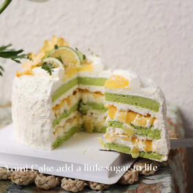 凤梨斑斓（一口回归热带海洋）