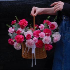 康乃馨手提花篮--送妈妈送长辈生日花礼