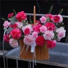康乃馨手提花篮--送妈妈送长辈生日花礼 商品缩略图1