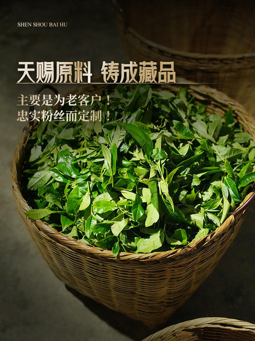 2024年春茶预售【神兽—白虎】超越纯料冰岛老寨的存在，神兽事业部独立出品高奢品牌，首发结束即封藏再无，限量100箱 拍5箱发6箱，前24小时下单加送同款龙珠一罐，每单额外赠送杯托*5 商品图4