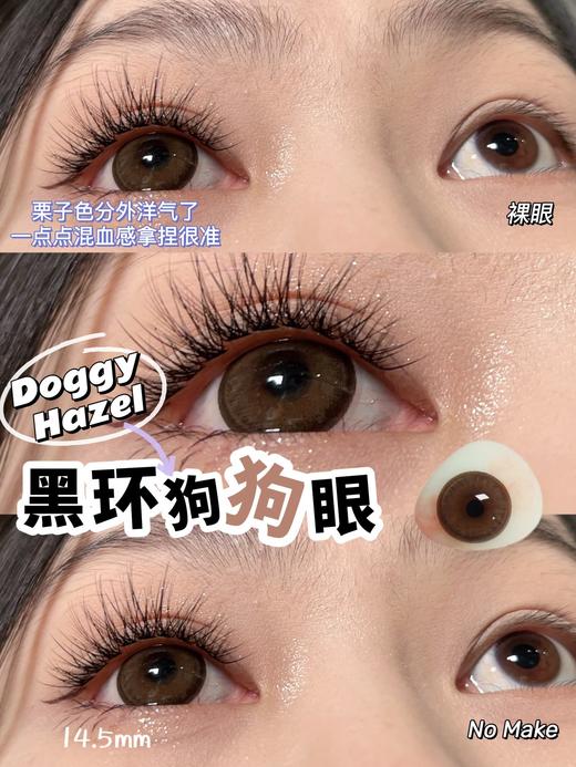 Bebebest品牌日抛线-Doggy brown（10p/盒）//有同名年抛款 商品图7