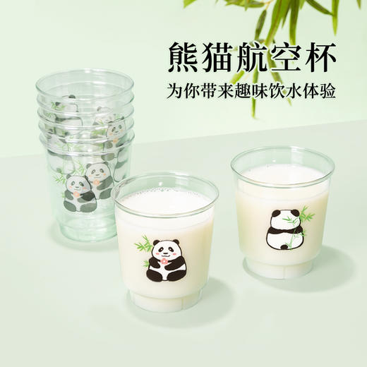 喇叭花全系列一次性航空杯透明塑料喝水杯PS硬塑杯樱花文案杯品尝杯饮料杯小包装太空杯 商品图10