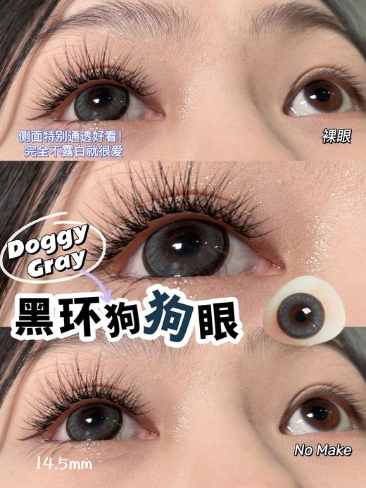 Bebebest品牌日抛线-Doggy gray（10p/盒）//有同名年抛款 商品图9