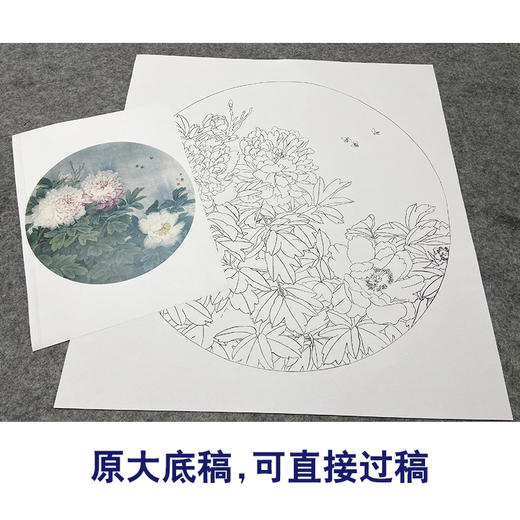周中耀工笔花鸟白描底稿牡丹小品《春日融融》临摹勾线高清打印稿ZY03 商品图1