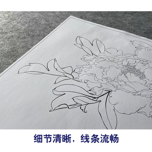 俞致贞工笔画白描底稿牡丹《墨撒金》临摹勾线高清打印稿JV21 商品图4