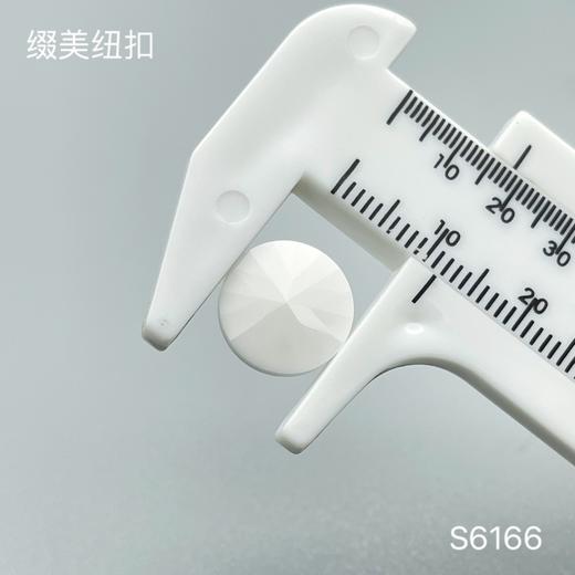 S6166(整包购买) 商品图2