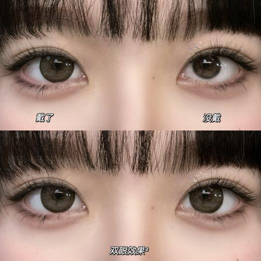 Bebebest品牌日抛线-Doggy brown（10p/盒）//有同名年抛款 商品图4