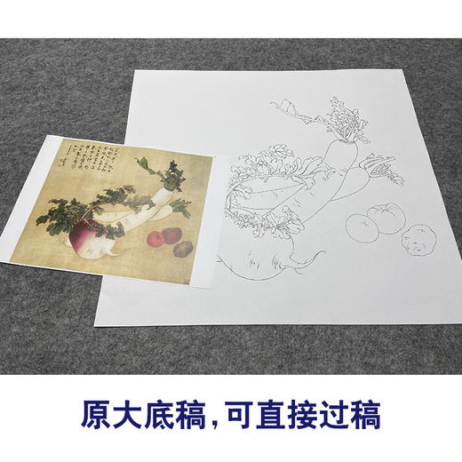 俞致贞工笔画白描底稿萝卜斗方小品《菜园秋熟》临摹勾线高清打印稿JV32 商品图1