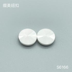 S6166(整包购买)
