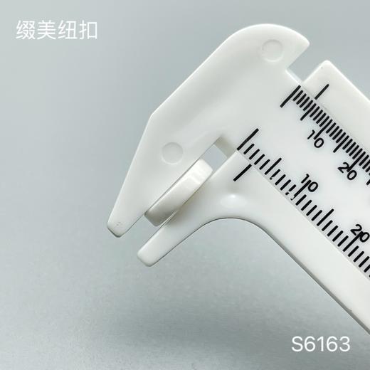 S6163(整包购买) 商品图3