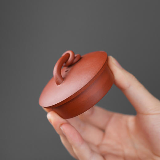 徐小明 虚极壶 宜兴原矿茶壶紫砂壶功夫茶泡茶壶紫砂茶具仿古 商品图9