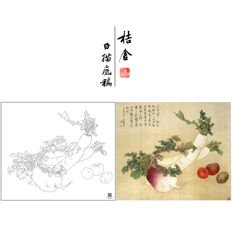 俞致贞工笔画白描底稿萝卜斗方小品《菜园秋熟》临摹勾线高清打印稿JV32