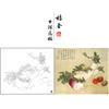 俞致贞工笔画白描底稿萝卜斗方小品《菜园秋熟》临摹勾线高清打印稿JV32 商品缩略图0