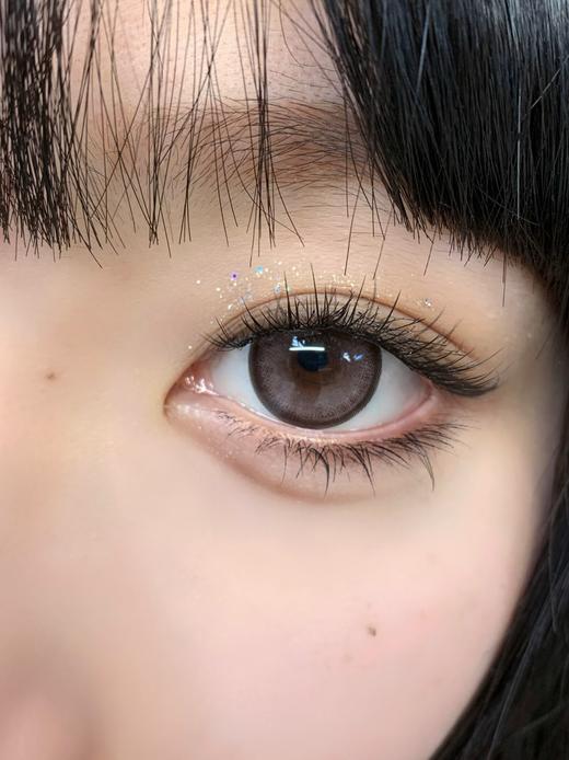 Bebebest品牌日抛线-Doggy violet（10p/盒）//有同名年抛款 商品图7