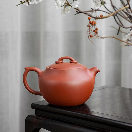 徐小明 虚极壶 宜兴原矿茶壶紫砂壶功夫茶泡茶壶紫砂茶具仿古 商品图5