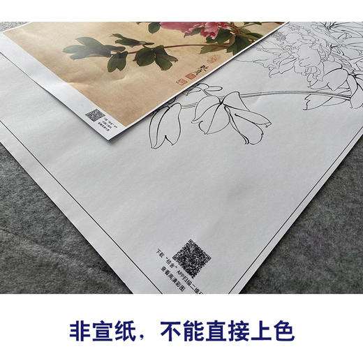 俞致贞工笔画白描底稿牡丹《墨撒金》临摹勾线高清打印稿JV21 商品图2