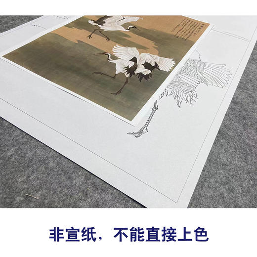张克齐工笔画白描底稿《仙鹤》临摹勾线高清打印稿A523 商品图2
