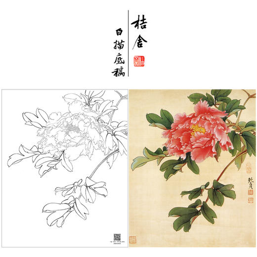 俞致贞工笔画白描底稿牡丹《墨撒金》临摹勾线高清打印稿JV21 商品图0