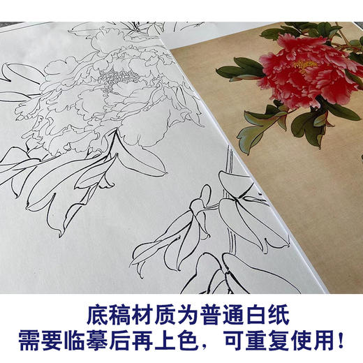 俞致贞工笔画白描底稿牡丹《墨撒金》临摹勾线高清打印稿JV21 商品图3