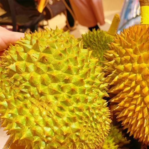猫山王长柄榴莲 | 泰国进口 商品图5