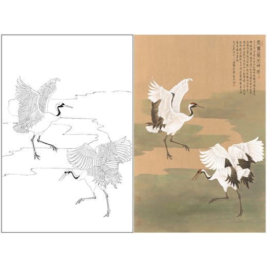 张克齐工笔画白描底稿《仙鹤》临摹勾线高清打印稿A523 商品图0