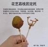 【水果工具】荔枝托/花艺荔枝固定托（60个/包） 商品缩略图0