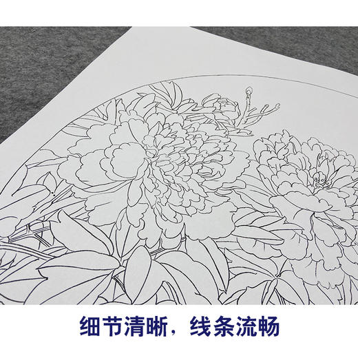 周中耀工笔花鸟白描底稿牡丹小品《春日融融》临摹勾线高清打印稿ZY03 商品图4