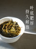 2024春茶预售福利款【布朗山花香甜茶】   迷你小饼 普洱茶 生茶 49g/盒 商品缩略图2