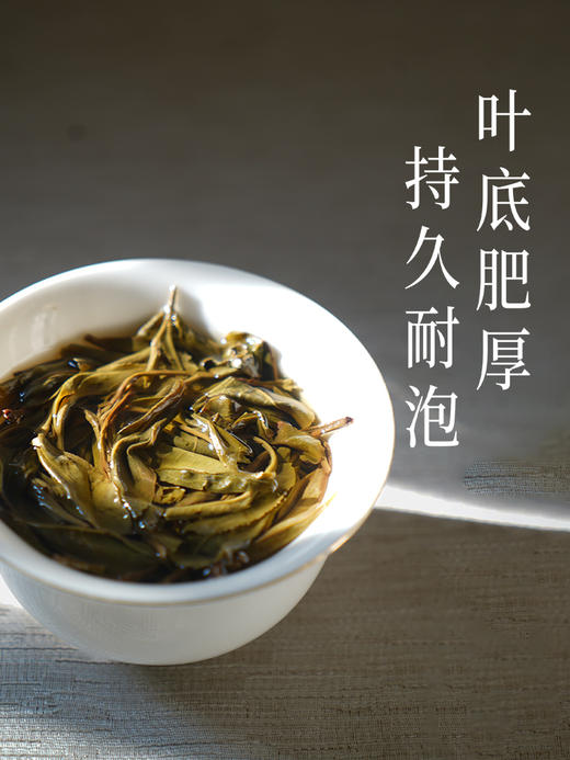 2024春茶预售福利款【布朗山花香甜茶】   迷你小饼 普洱茶 生茶 49g/盒 商品图2