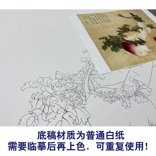 俞致贞工笔画白描底稿萝卜斗方小品《菜园秋熟》临摹勾线高清打印稿JV32 商品图3