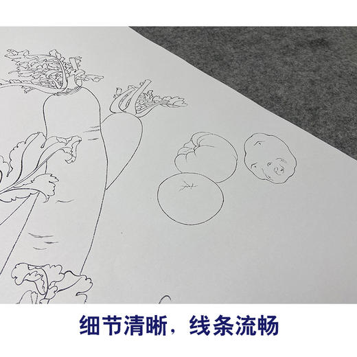 俞致贞工笔画白描底稿萝卜斗方小品《菜园秋熟》临摹勾线高清打印稿JV32 商品图4