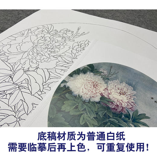 周中耀工笔花鸟白描底稿牡丹小品《春日融融》临摹勾线高清打印稿ZY03 商品图3