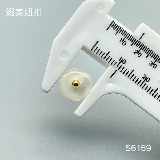 S6159(整包购买) 商品图4