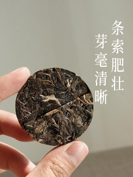 2024春茶预售福利款【布朗山花香甜茶】   迷你小饼 普洱茶 生茶 49g/盒 商品图1