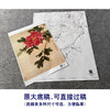 俞致贞工笔画白描底稿牡丹《墨撒金》临摹勾线高清打印稿JV21 商品缩略图1
