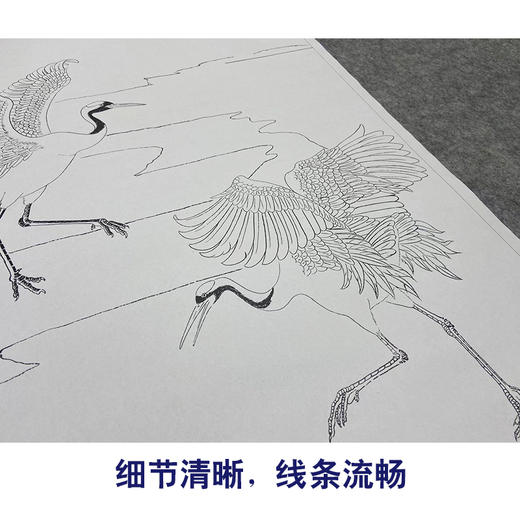 张克齐工笔画白描底稿《仙鹤》临摹勾线高清打印稿A523 商品图4