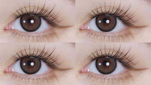 Bebebest品牌日抛线-Silk black（10p/盒）//有同名年抛款 商品图10