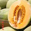 新疆哈密瓜 西州蜜  脆甜多汁 商品缩略图2