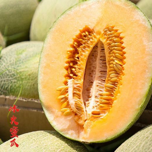新疆哈密瓜 西州蜜  脆甜多汁 商品图2