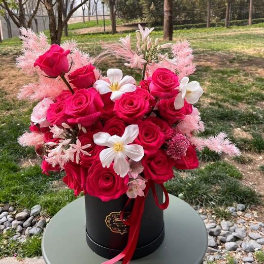 33支佛洛依德抱抱桶 商品图0